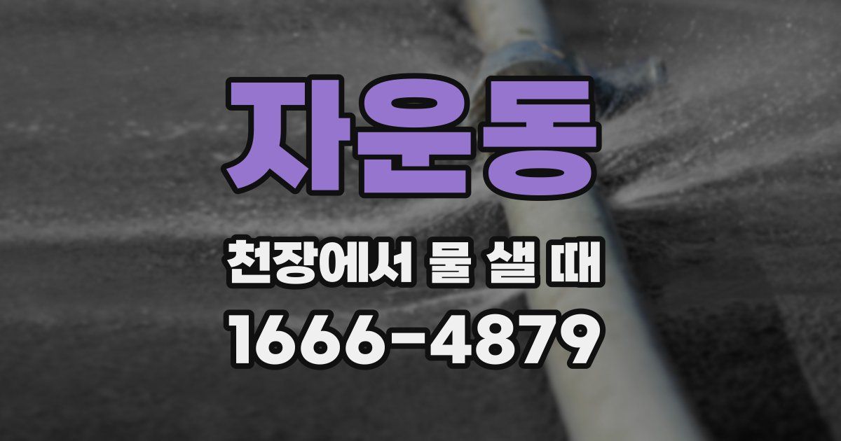 자운동 천장에서 물 샐 때