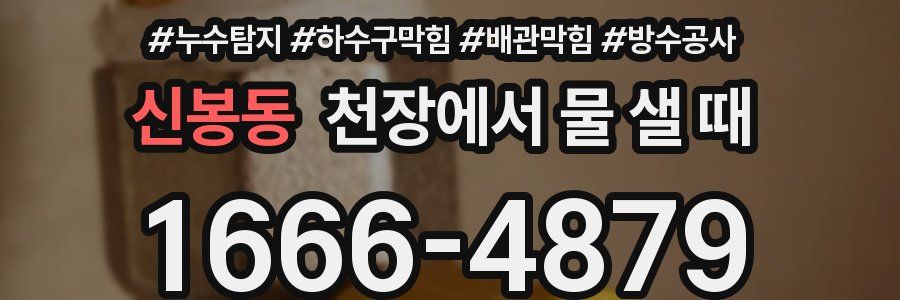 신봉동 천장에서 물 샐 때