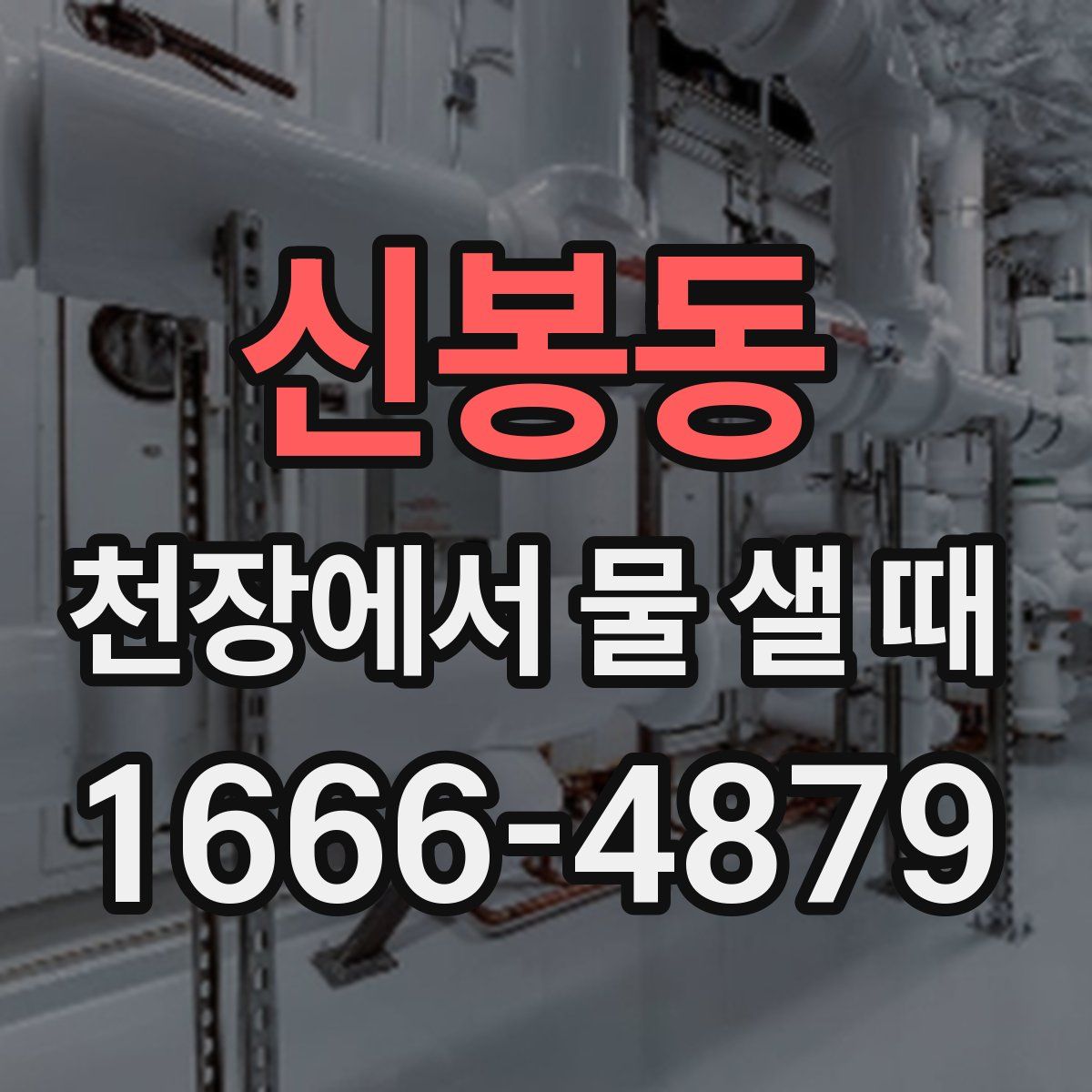 신봉동 천장에서 물 샐 때