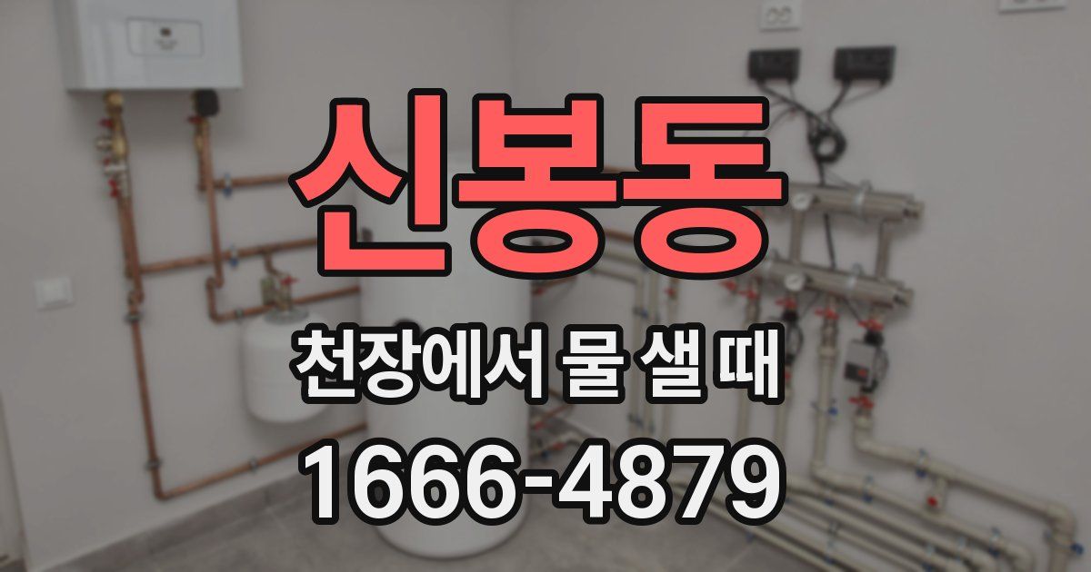 신봉동 천장에서 물 샐 때