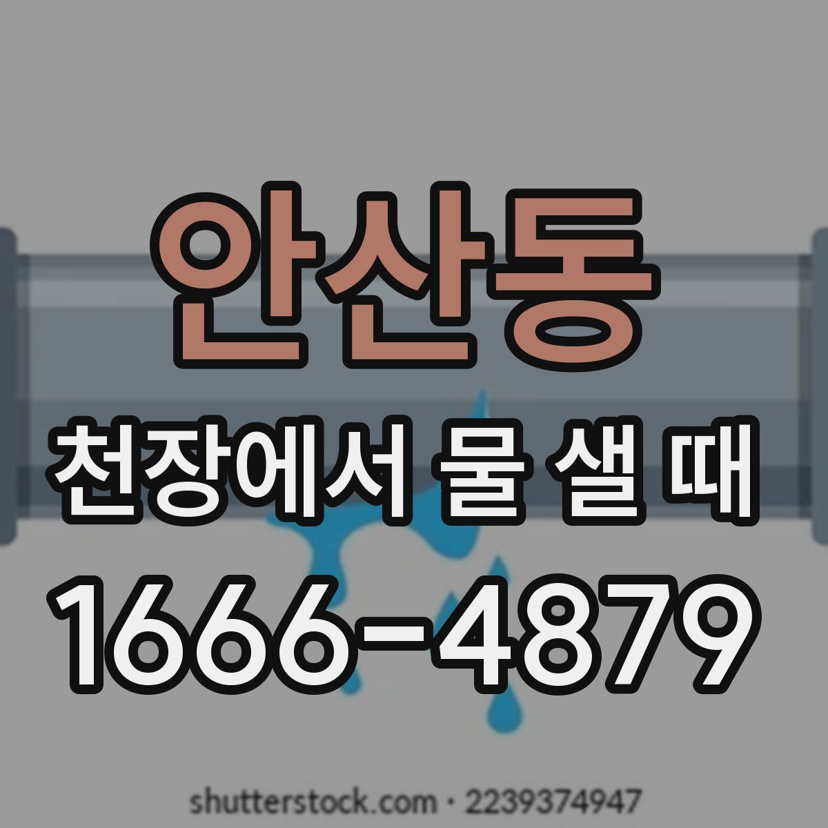 안산동 천장에서 물 샐 때