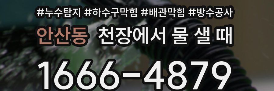 안산동 천장에서 물 샐 때