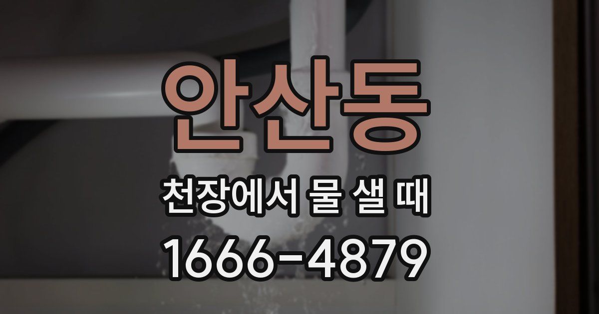 안산동 천장에서 물 샐 때