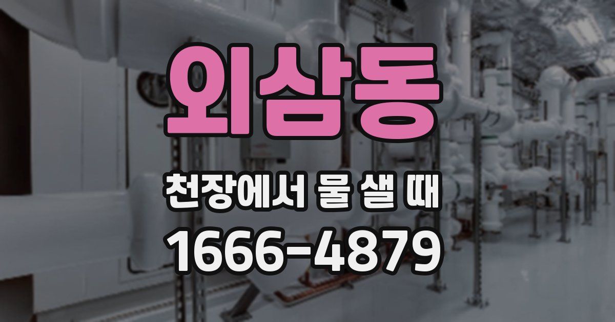 외삼동 천장에서 물 샐 때