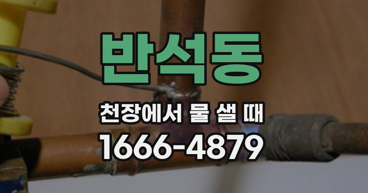 반석동 천장에서 물 샐 때