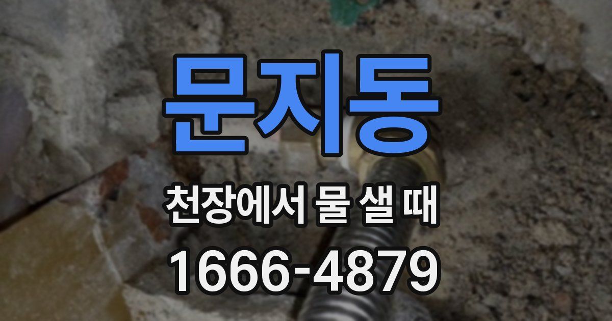 문지동 천장에서 물 샐 때
