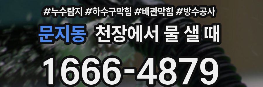 문지동 천장에서 물 샐 때
