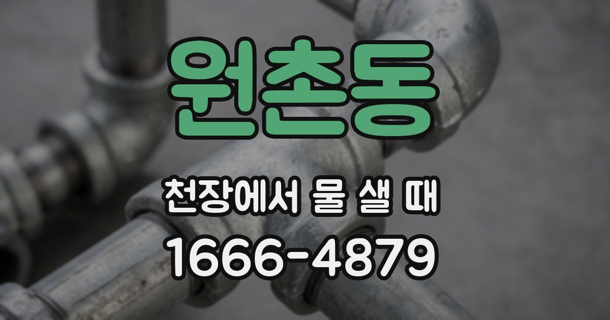 원촌동 천장에서 물 샐 때
