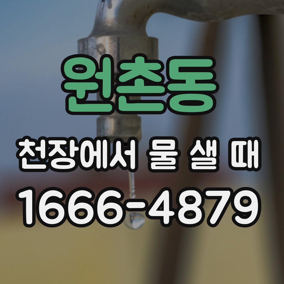 원촌동 천장에서 물 샐 때