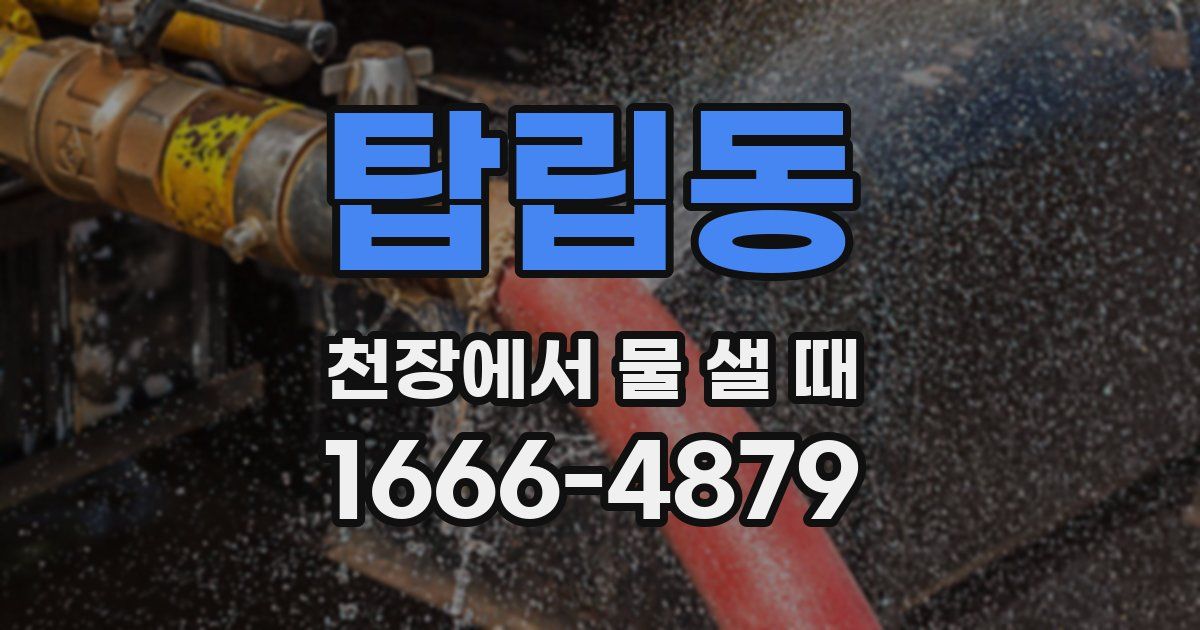 탑립동 천장에서 물 샐 때