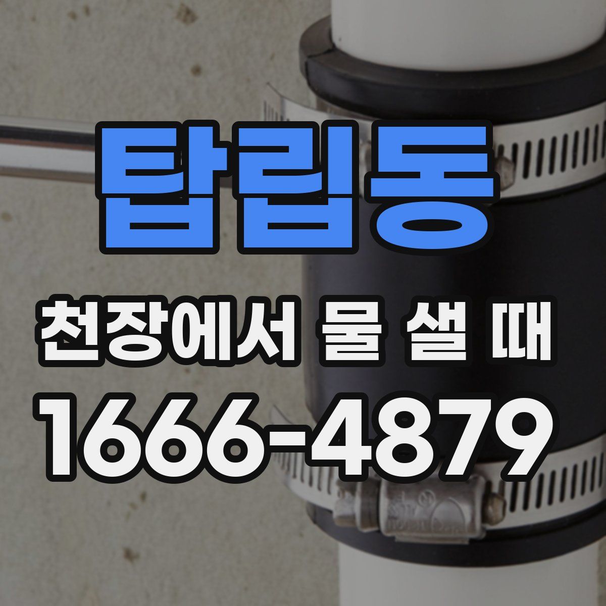 탑립동 천장에서 물 샐 때