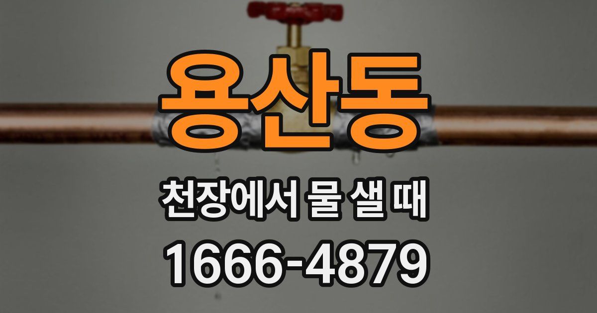 용산동 천장에서 물 샐 때