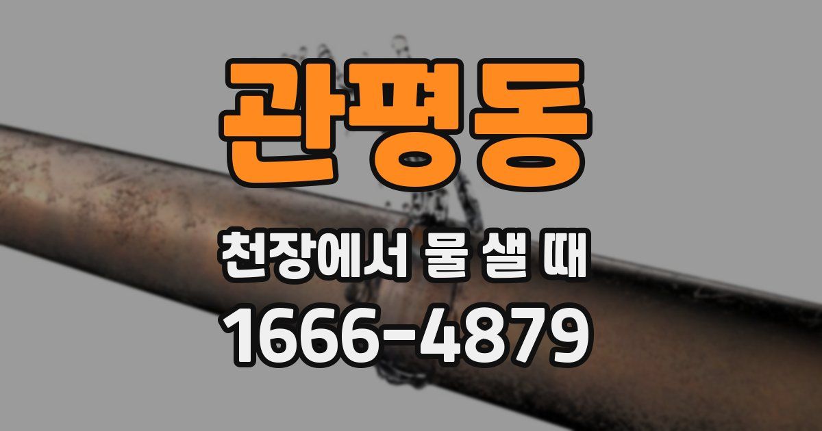 관평동 천장에서 물 샐 때