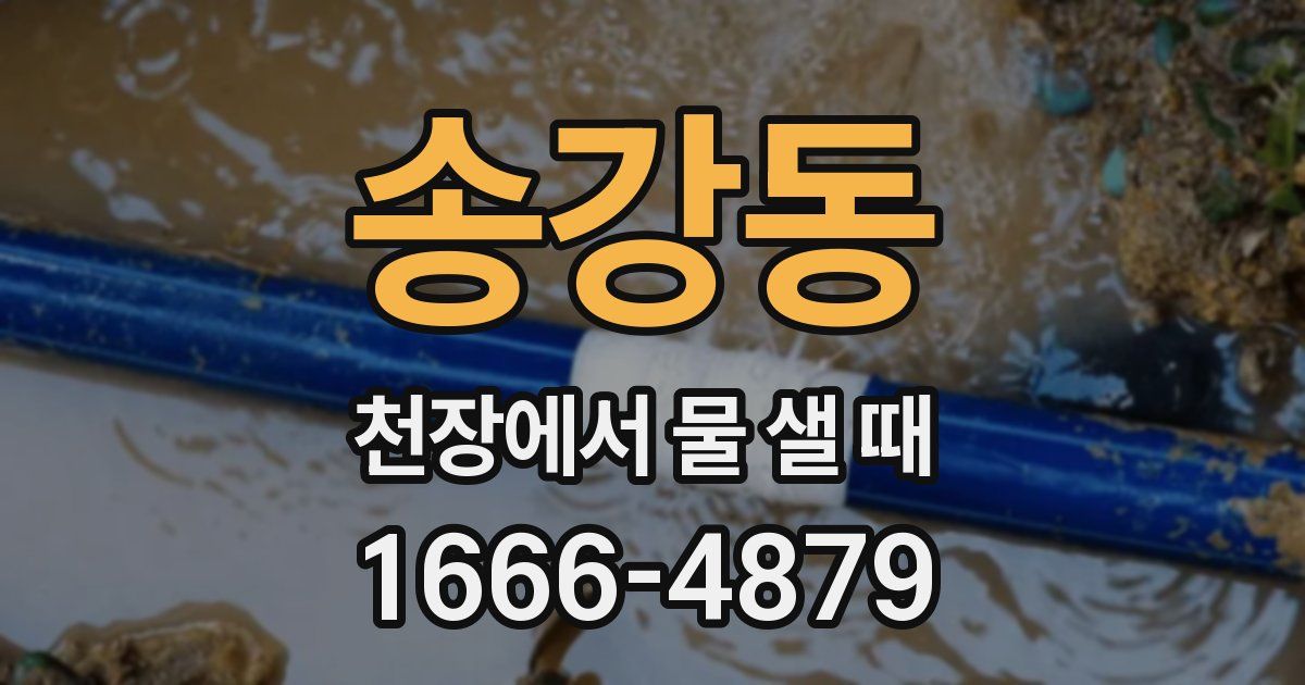 송강동 천장에서 물 샐 때
