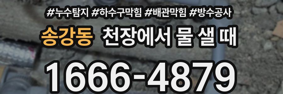 송강동 천장에서 물 샐 때