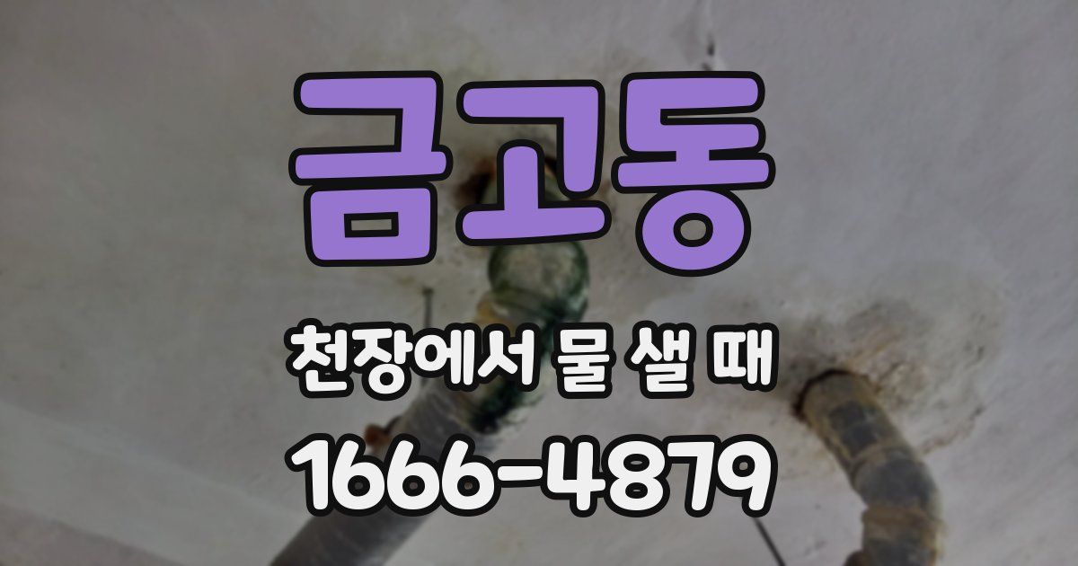 금고동 천장에서 물 샐 때