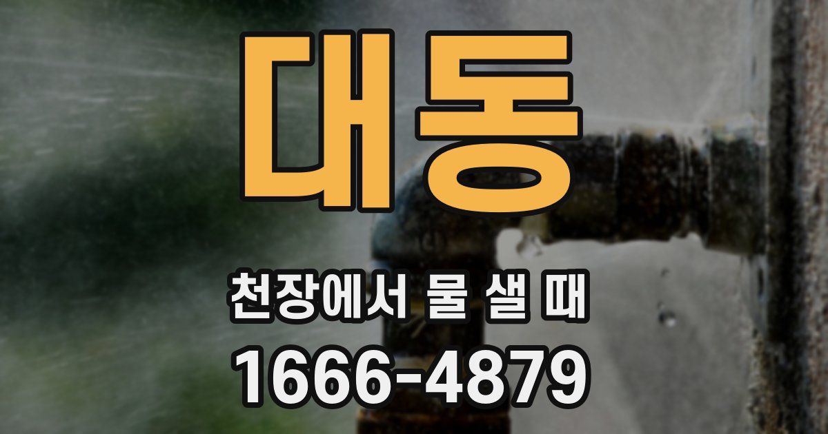 대동 천장에서 물 샐 때