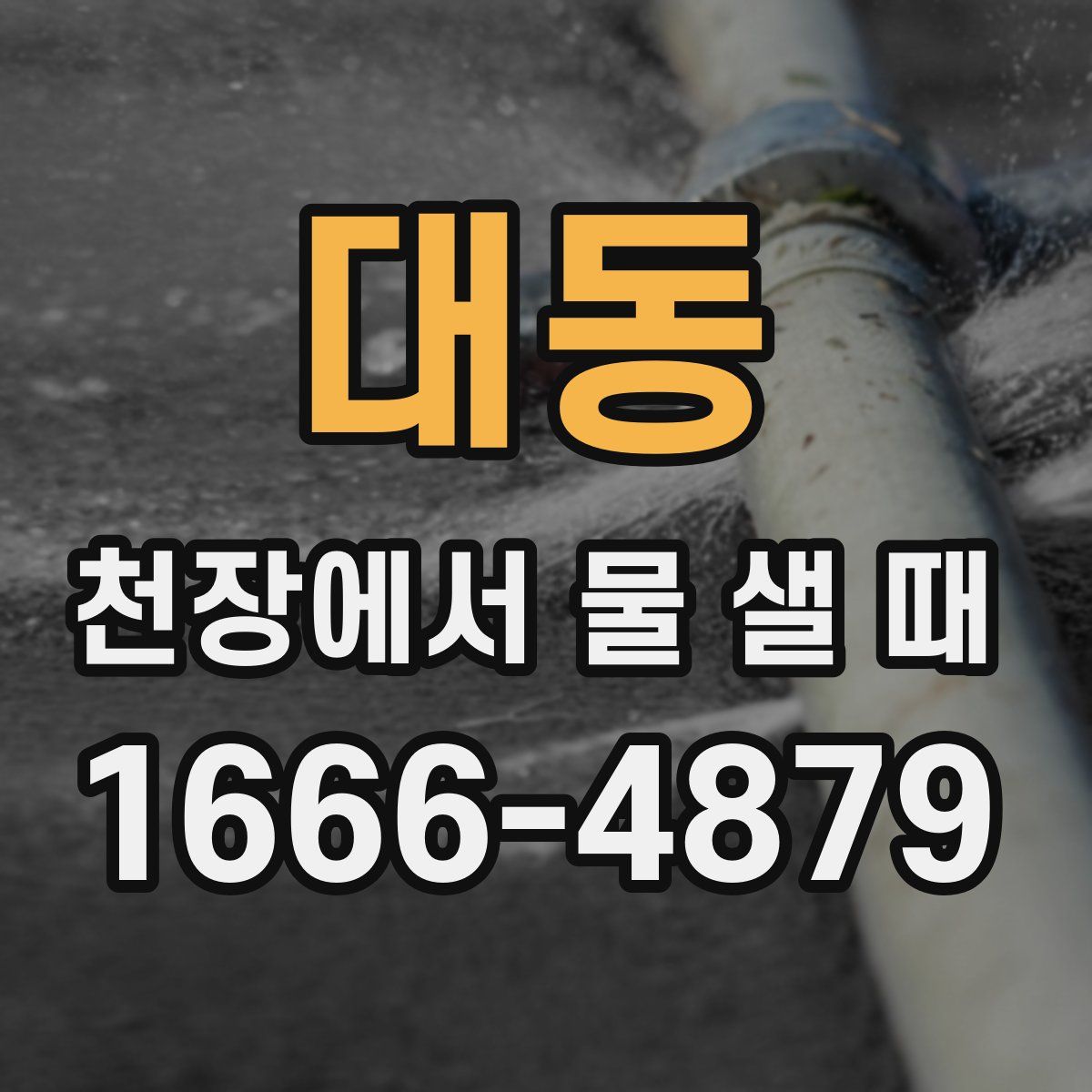 대동 천장에서 물 샐 때