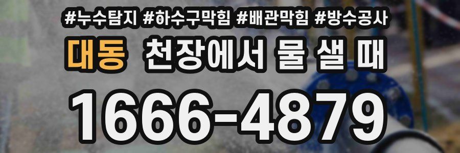 대동 천장에서 물 샐 때