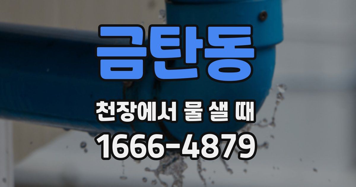 금탄동 천장에서 물 샐 때