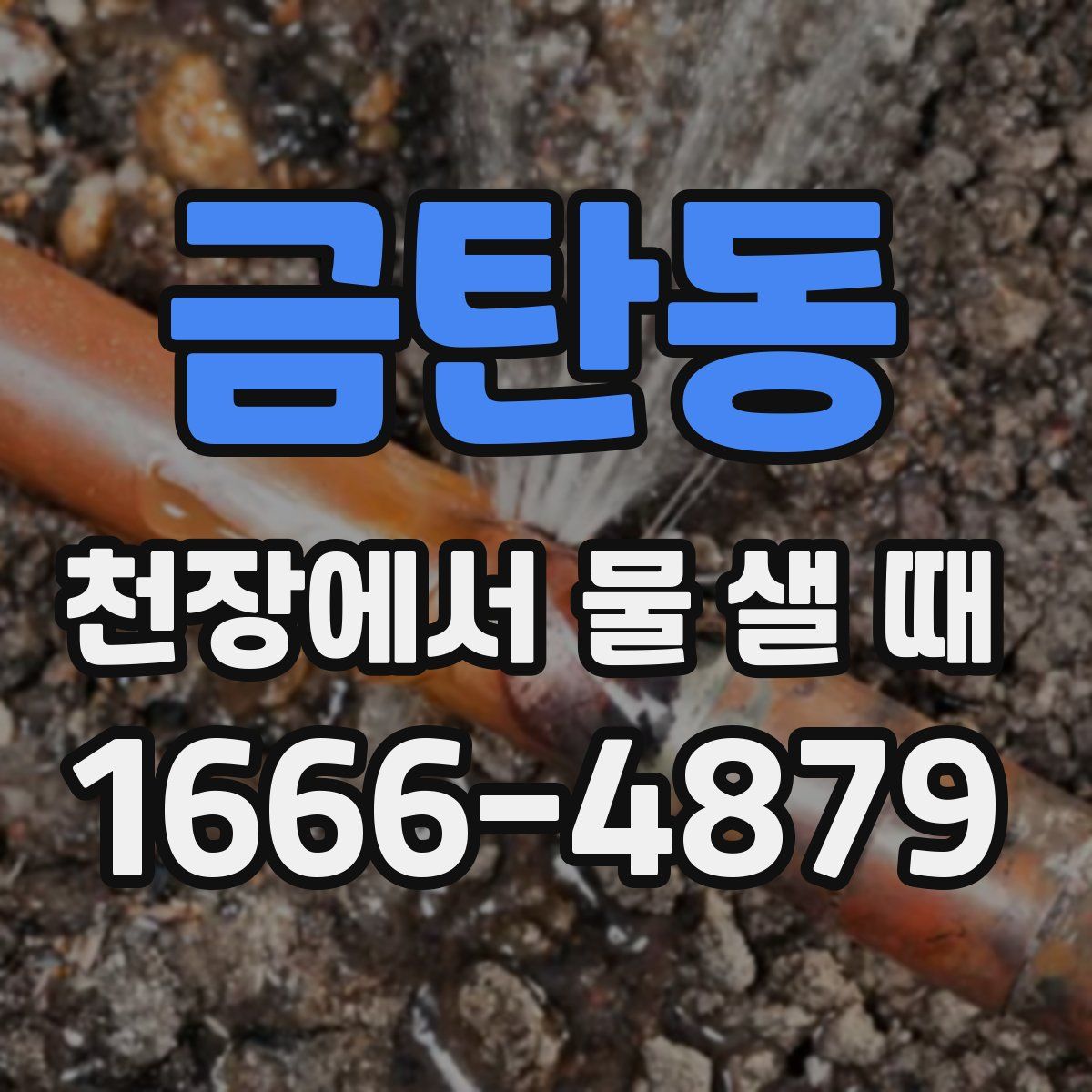 금탄동 천장에서 물 샐 때