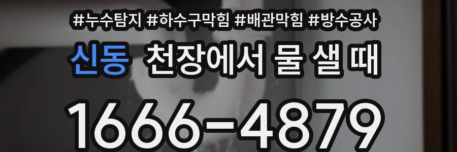 신동 천장에서 물 샐 때