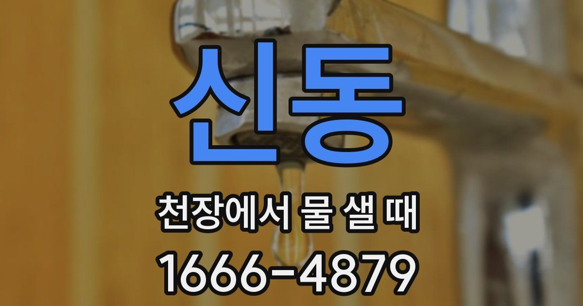 신동 천장에서 물 샐 때