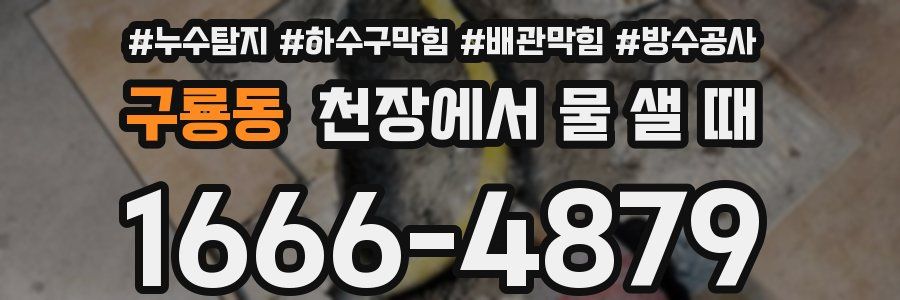 구룡동 천장에서 물 샐 때