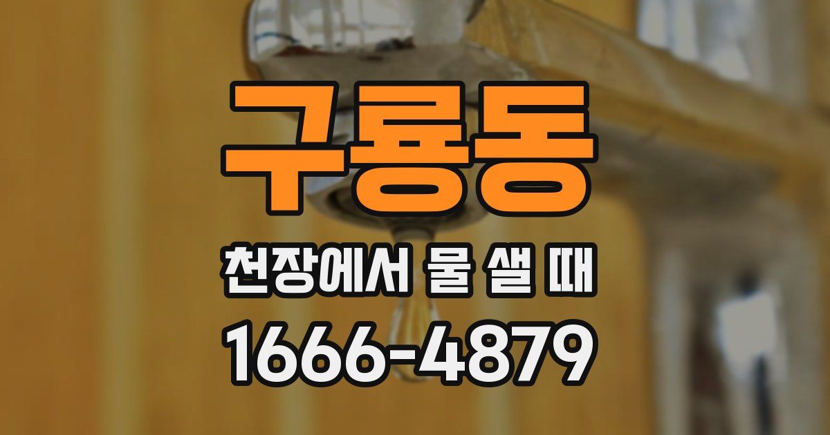 구룡동 천장에서 물 샐 때