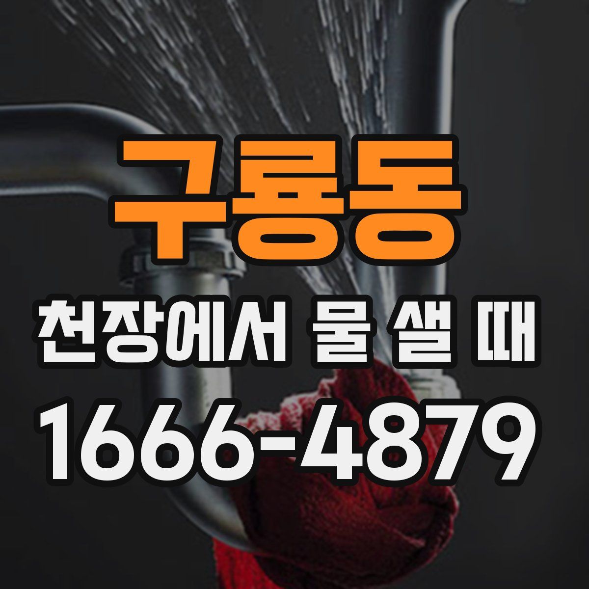구룡동 천장에서 물 샐 때