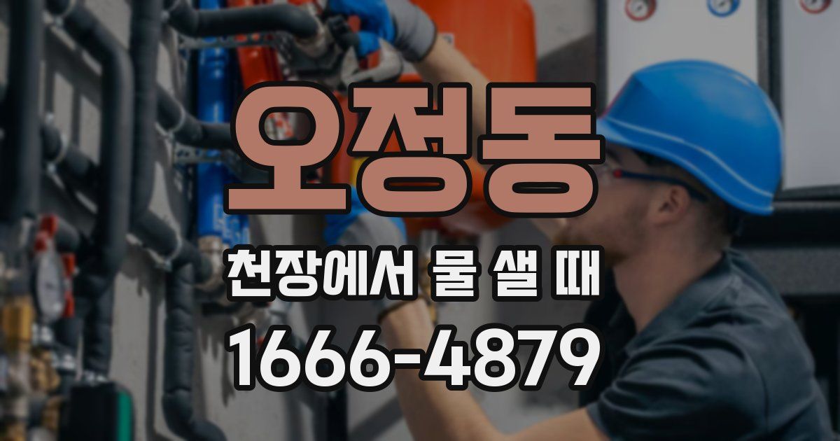 오정동 천장에서 물 샐 때