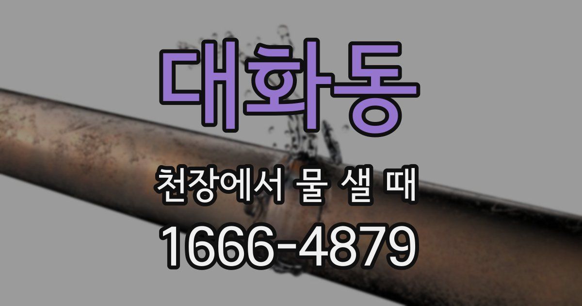 대화동 천장에서 물 샐 때