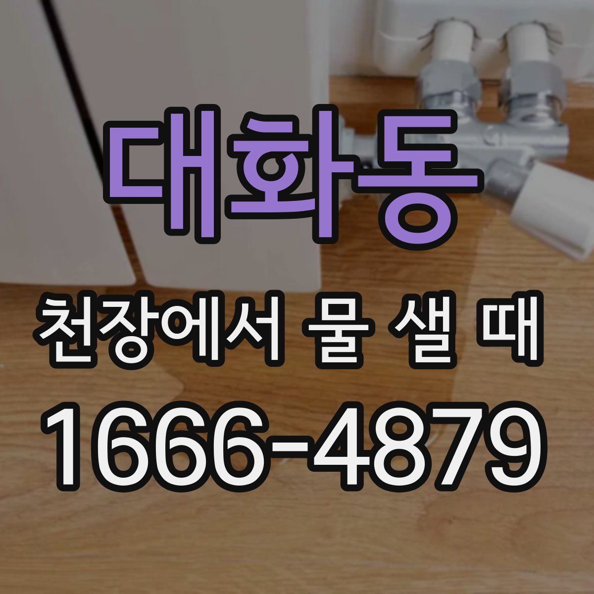 대화동 천장에서 물 샐 때