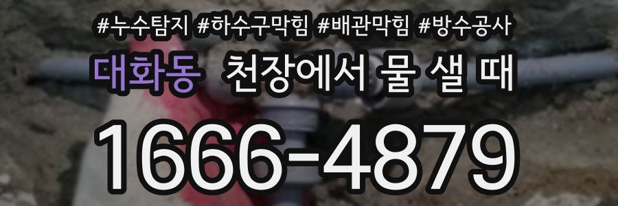 대화동 천장에서 물 샐 때