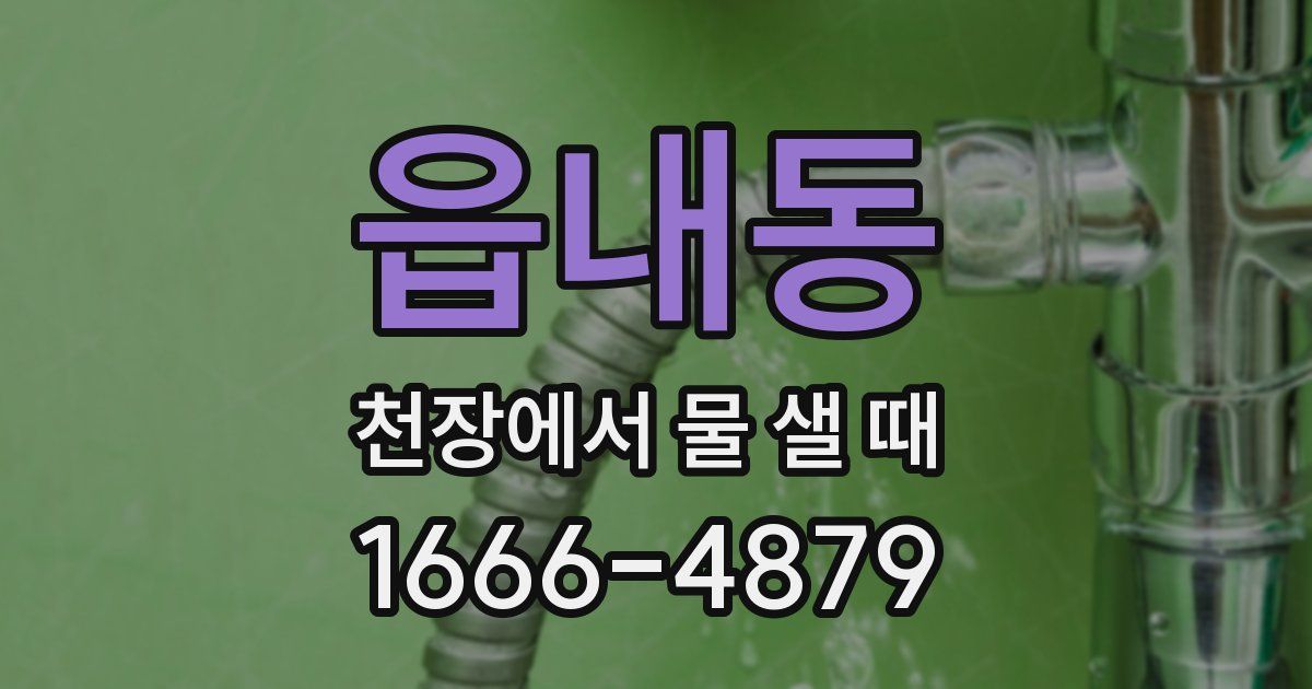 읍내동 천장에서 물 샐 때