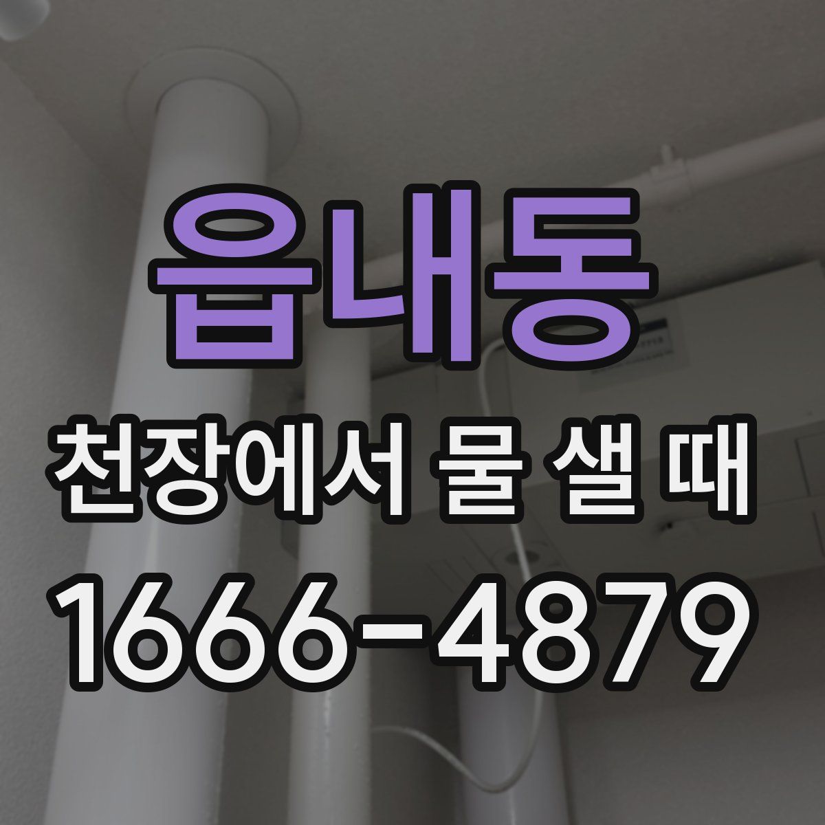 읍내동 천장에서 물 샐 때