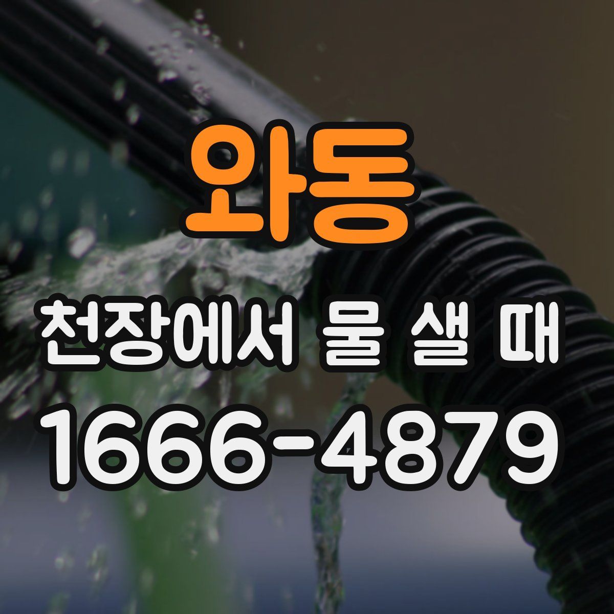 와동 천장에서 물 샐 때