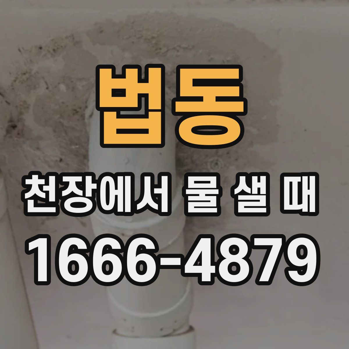 법동 천장에서 물 샐 때