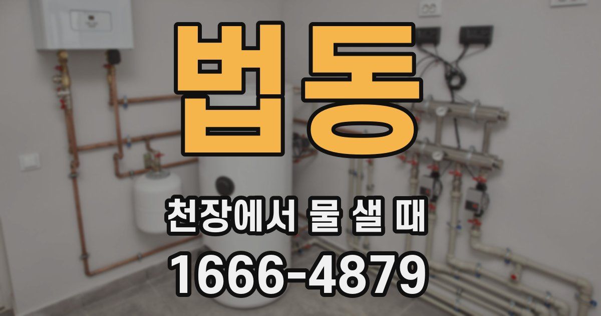 법동 천장에서 물 샐 때
