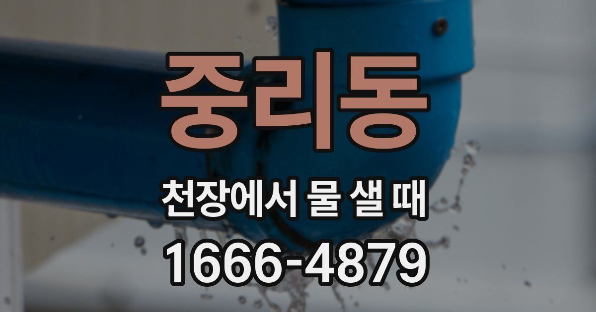 중리동 천장에서 물 샐 때