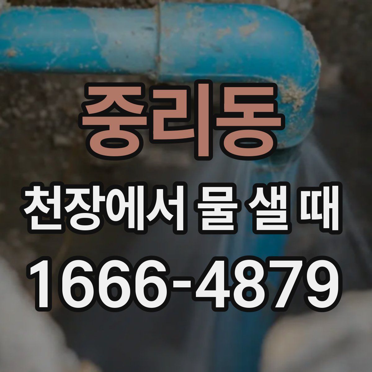 중리동 천장에서 물 샐 때