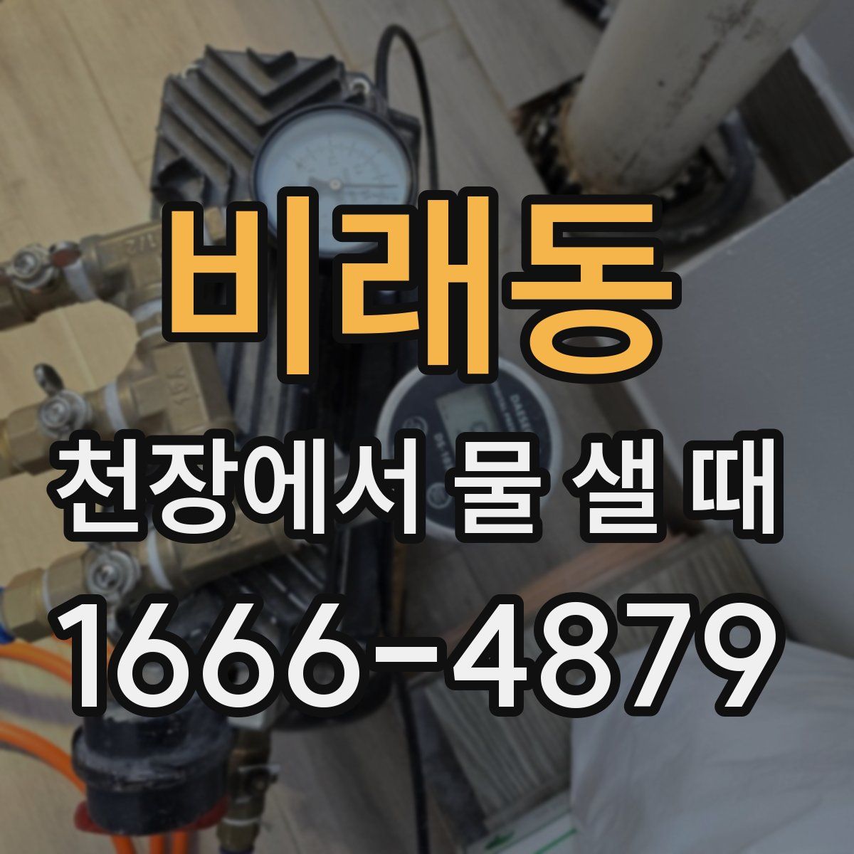 비래동 천장에서 물 샐 때