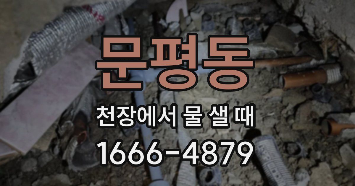 문평동 천장에서 물 샐 때