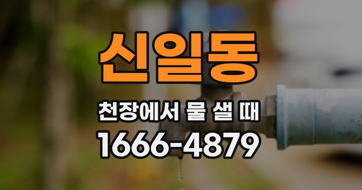신일동 천장에서 물 샐 때