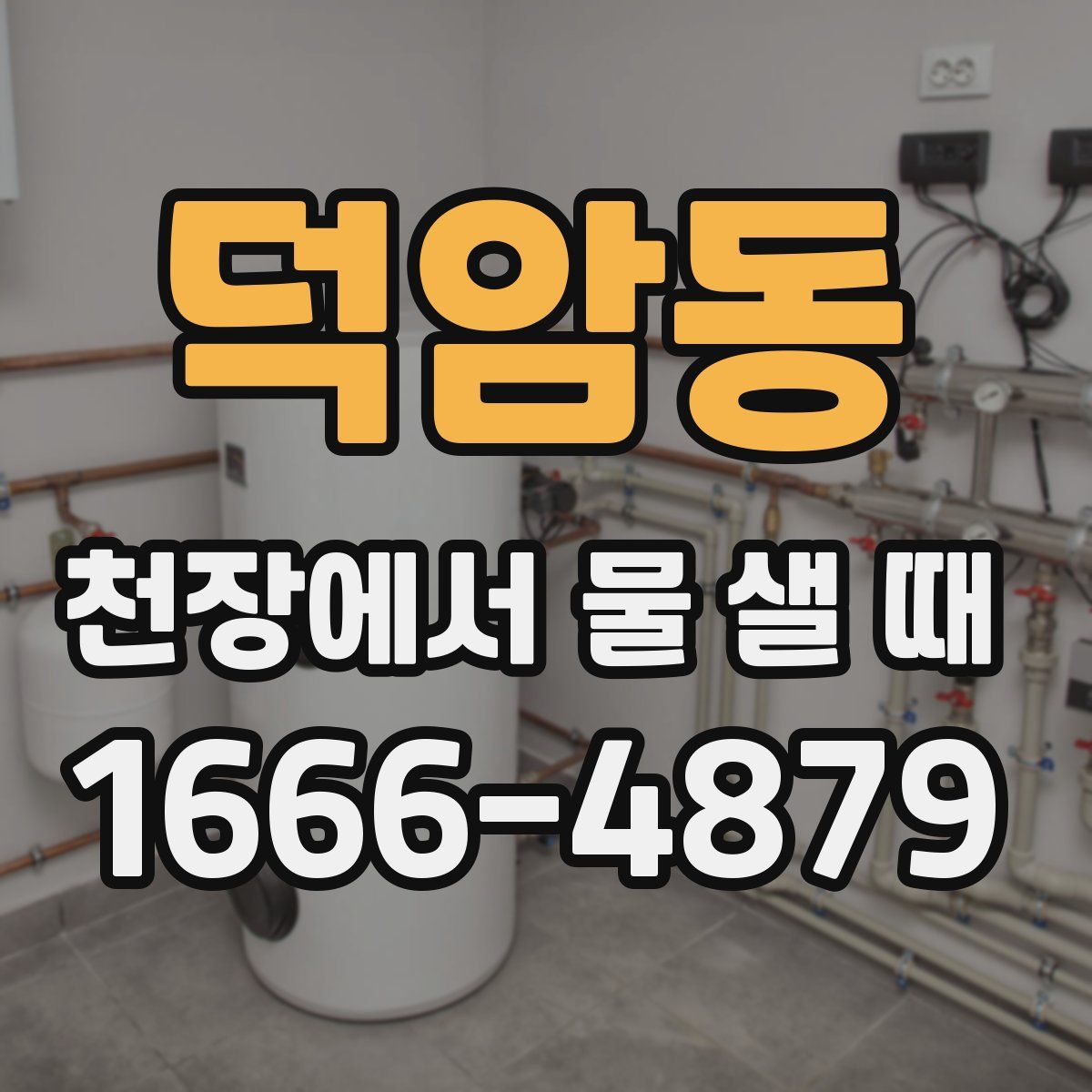 덕암동 천장에서 물 샐 때