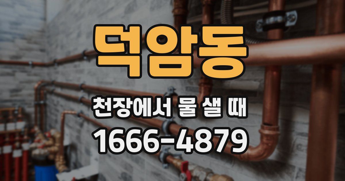 덕암동 천장에서 물 샐 때