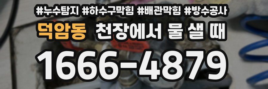 덕암동 천장에서 물 샐 때