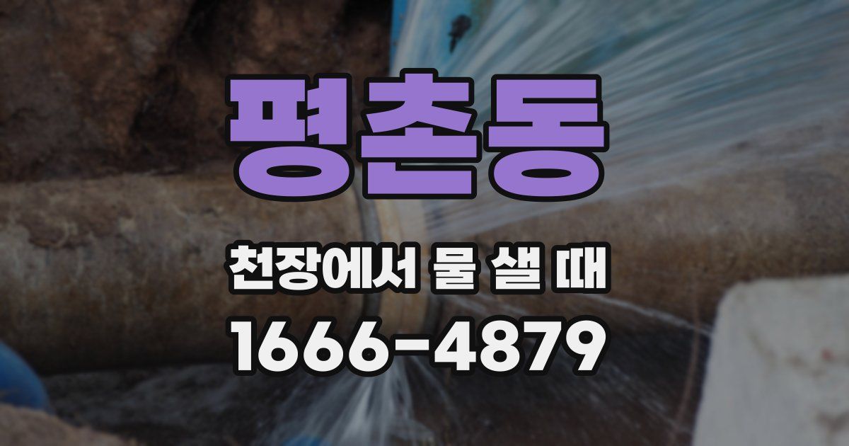 평촌동 천장에서 물 샐 때