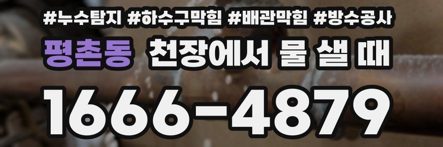 평촌동 천장에서 물 샐 때