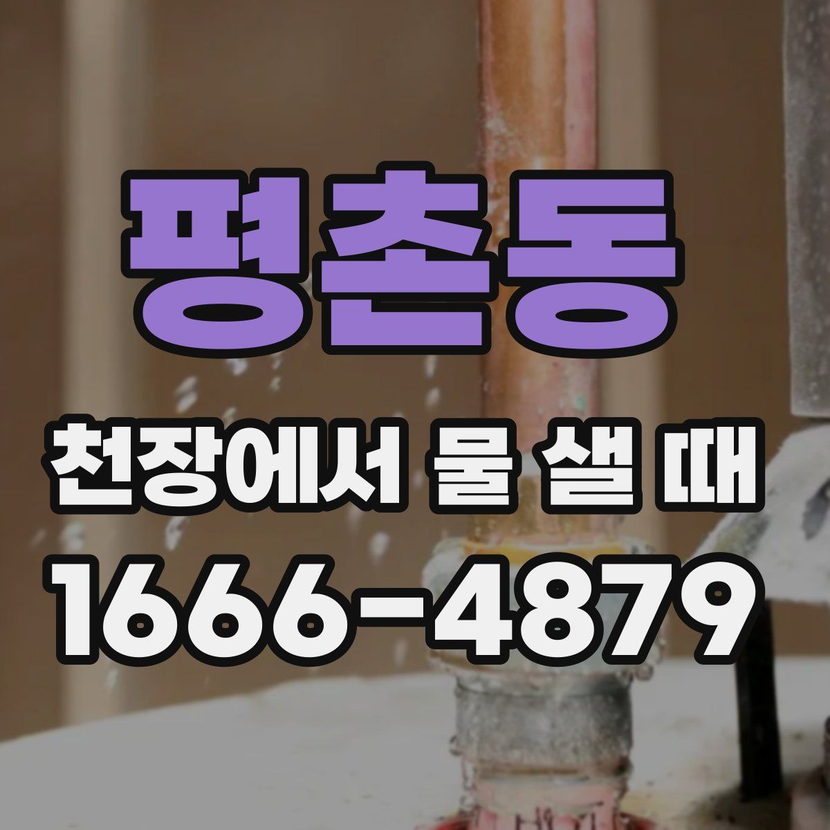 평촌동 천장에서 물 샐 때